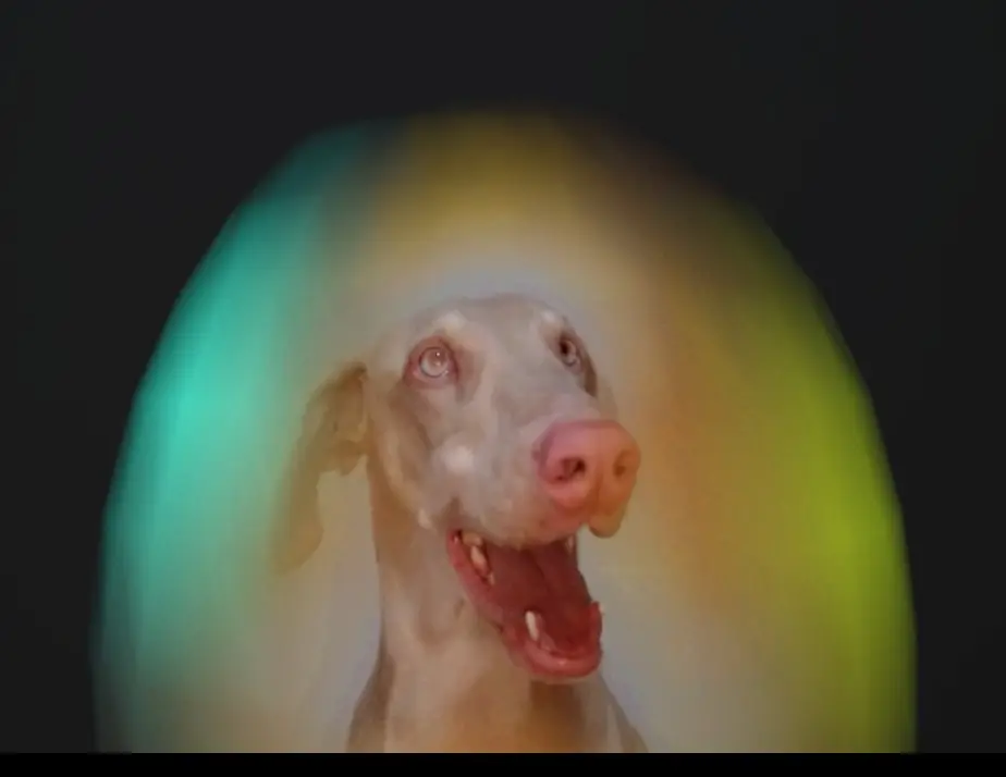 danny rep-14-afr2-9-25-2022_page-0001 (1)